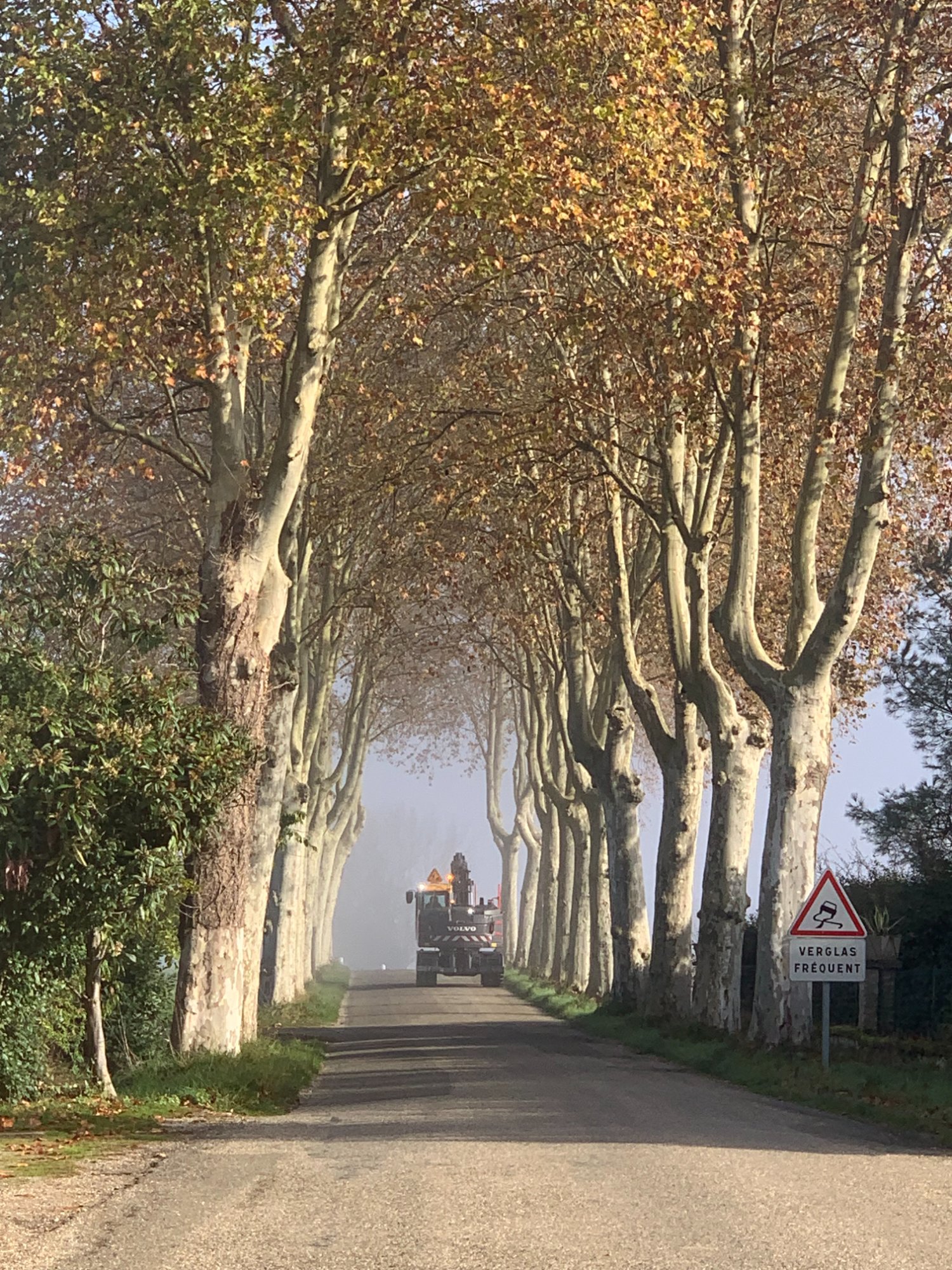 Country road through the Gers