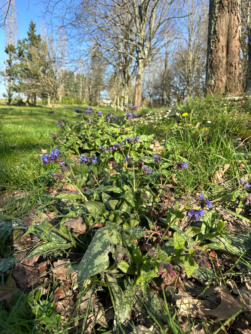 Spring springing.