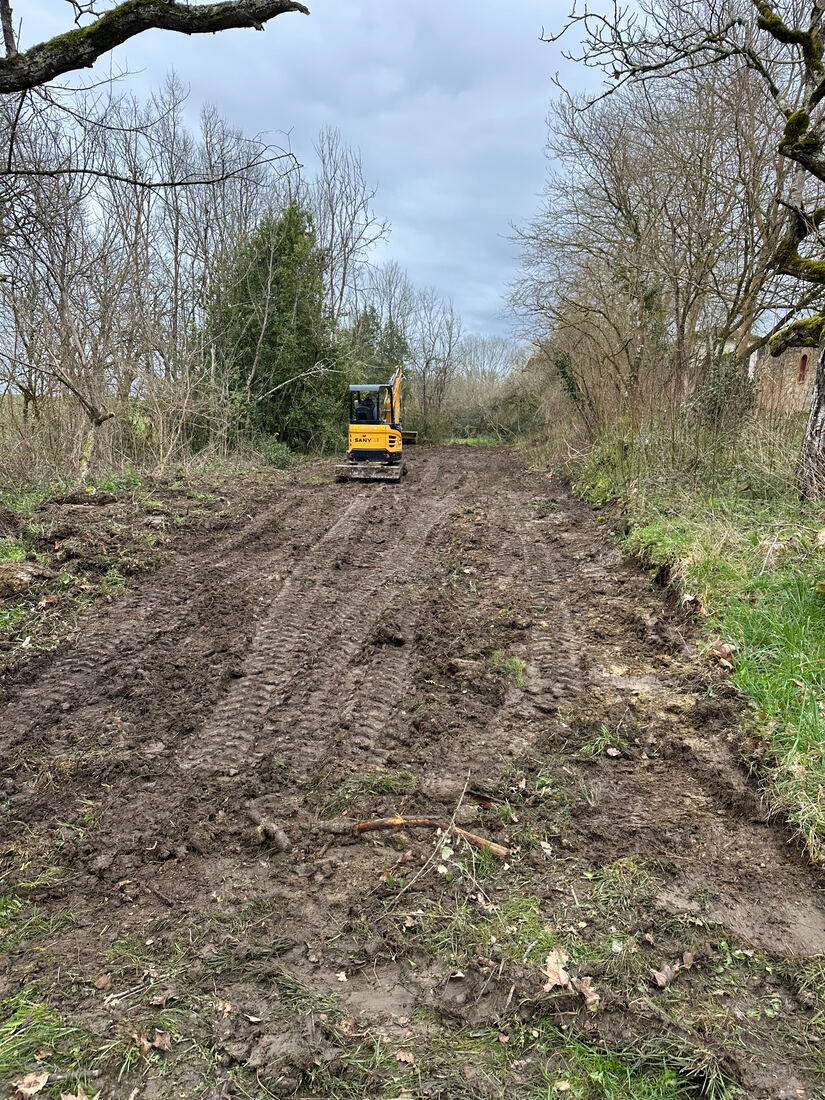 Last spring we started a little project to clean up some fallen trees that had b